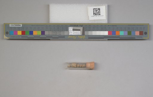 NSF ADBC EPICC TCN
