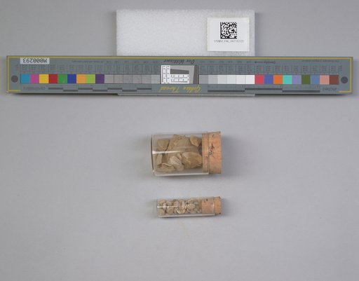 NSF ADBC EPICC TCN