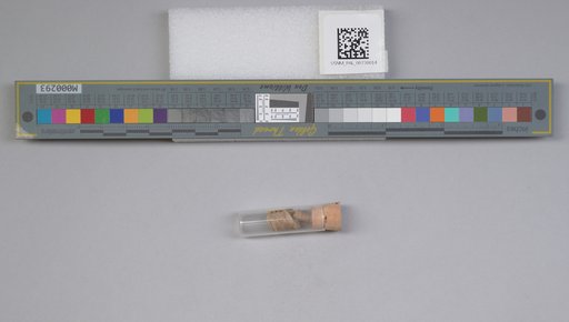 NSF ADBC EPICC TCN