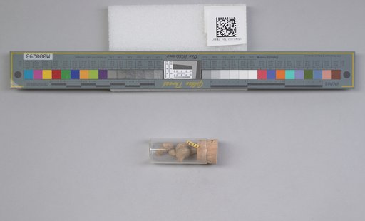 NSF ADBC EPICC TCN