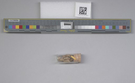 NSF ADBC EPICC TCN