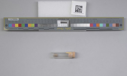 NSF ADBC EPICC TCN