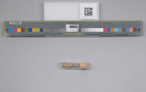 NSF ADBC EPICC TCN