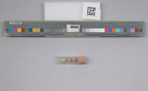 NSF ADBC EPICC TCN