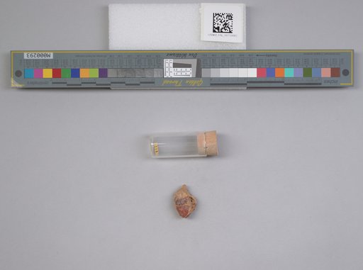 NSF ADBC EPICC TCN