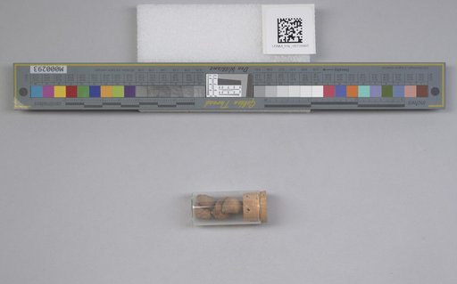 NSF ADBC EPICC TCN