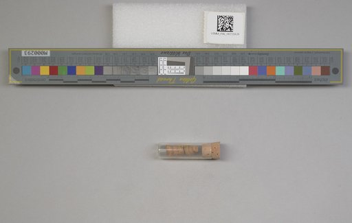 NSF ADBC EPICC TCN