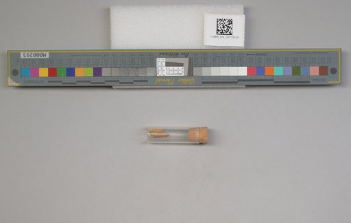 NSF ADBC EPICC TCN