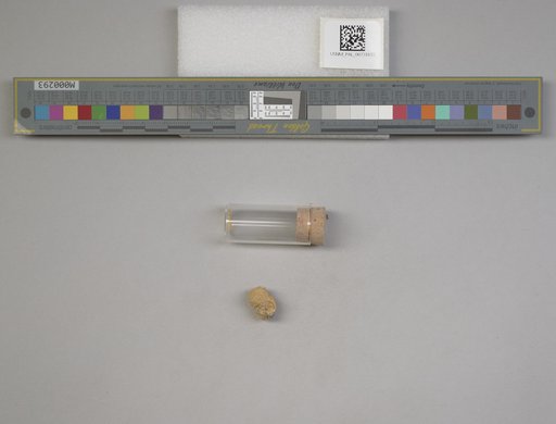 NSF ADBC EPICC TCN