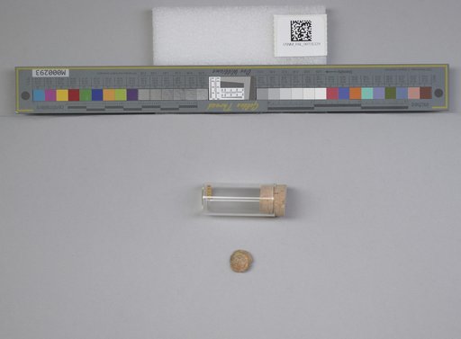 NSF ADBC EPICC TCN