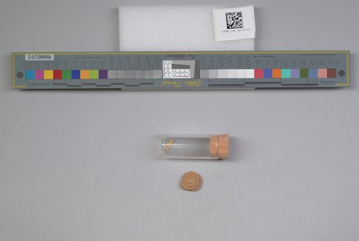 NSF ADBC EPICC TCN