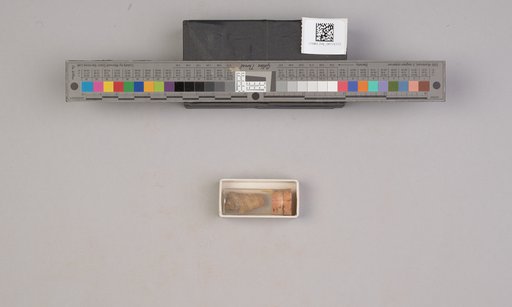 NSF ADBC EPICC TCN