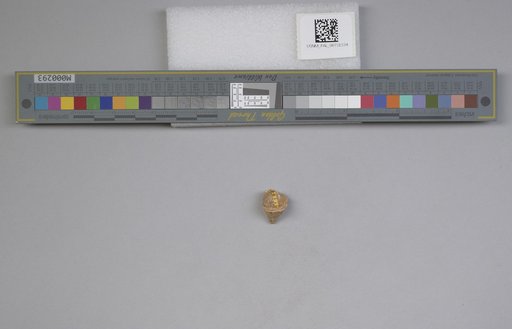 NSF ADBC EPICC TCN