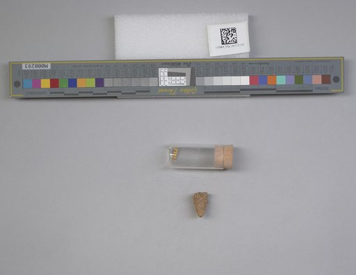 NSF ADBC EPICC TCN