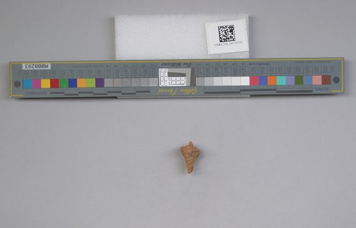 NSF ADBC EPICC TCN