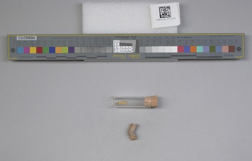 NSF ADBC EPICC TCN