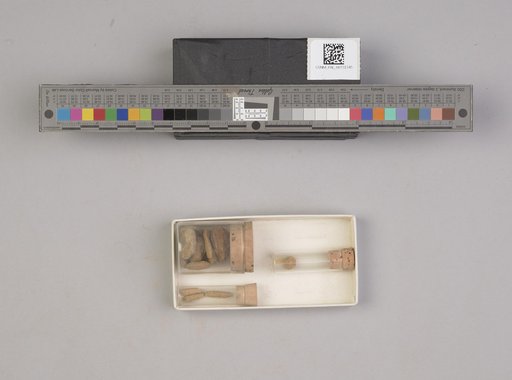 NSF ADBC EPICC TCN