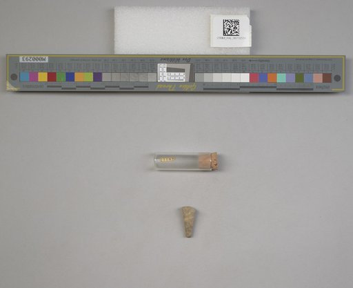 NSF ADBC EPICC TCN