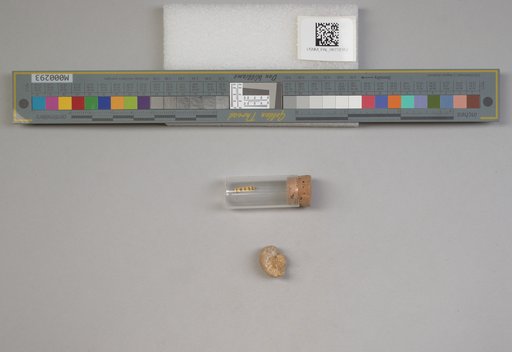 NSF ADBC EPICC TCN