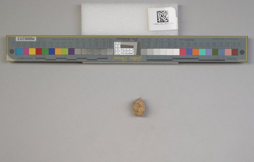 NSF ADBC EPICC TCN