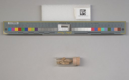 NSF ADBC EPICC TCN