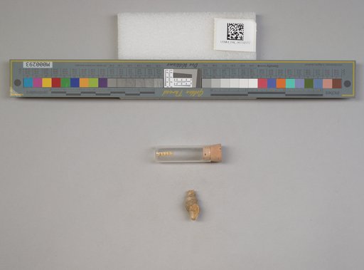 NSF ADBC EPICC TCN