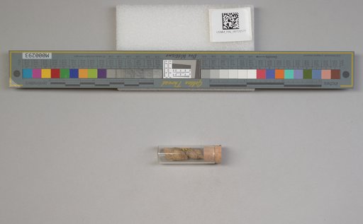 NSF ADBC EPICC TCN