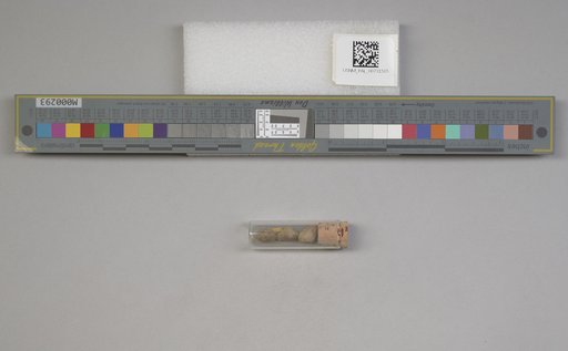 NSF ADBC EPICC TCN