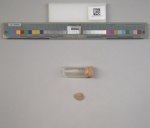 NSF ADBC EPICC TCN