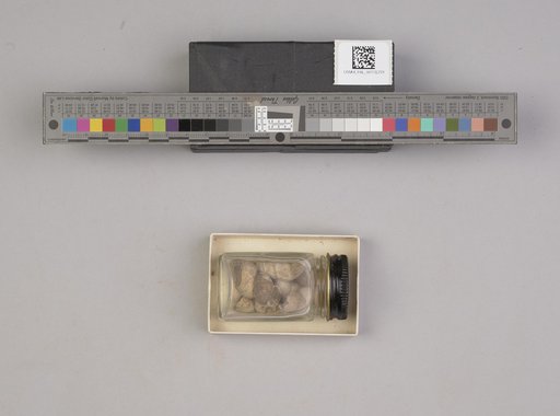 NSF ADBC EPICC TCN