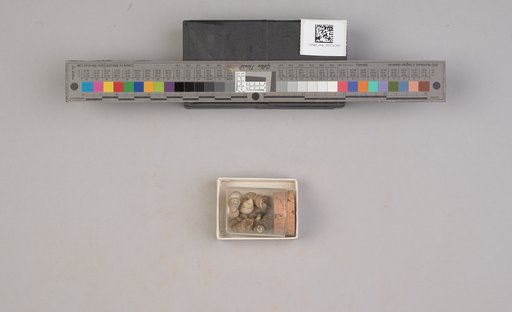 NSF ADBC EPICC TCN