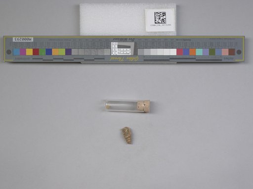 NSF ADBC EPICC TCN