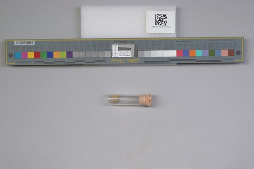 NSF ADBC EPICC TCN