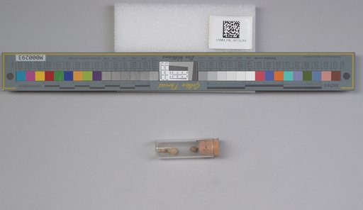 NSF ADBC EPICC TCN