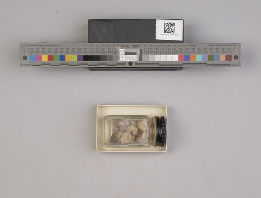 NSF ADBC EPICC TCN
