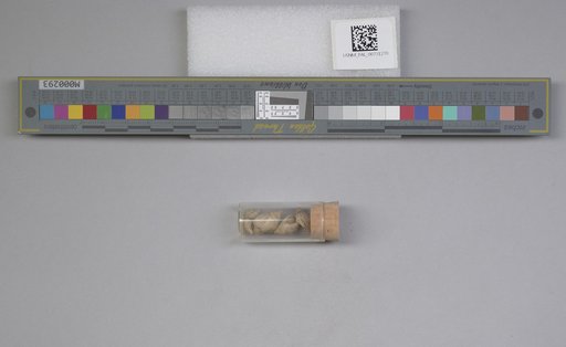 NSF ADBC EPICC TCN