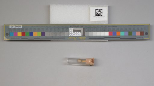 NSF ADBC EPICC TCN
