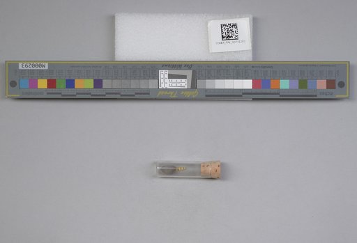 NSF ADBC EPICC TCN
