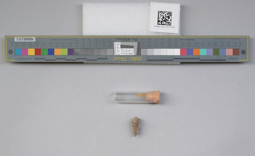 NSF ADBC EPICC TCN