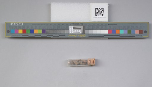 NSF ADBC EPICC TCN