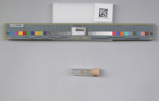 NSF ADBC EPICC TCN