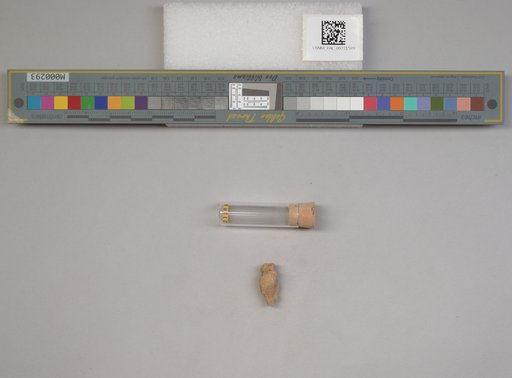 NSF ADBC EPICC TCN