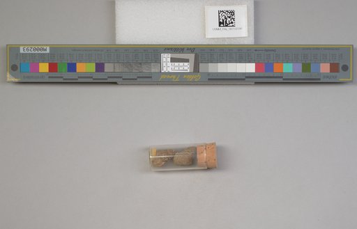 NSF ADBC EPICC TCN
