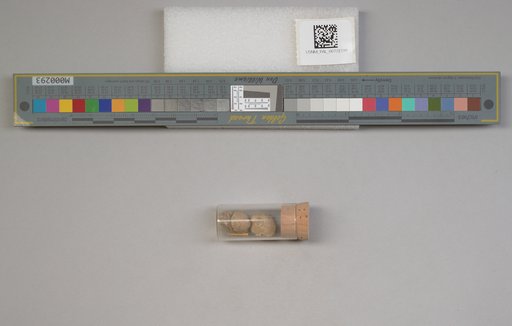 NSF ADBC EPICC TCN