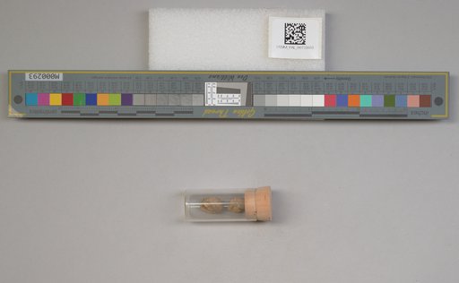 NSF ADBC EPICC TCN