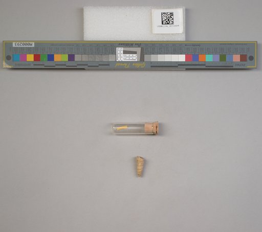 NSF ADBC EPICC TCN