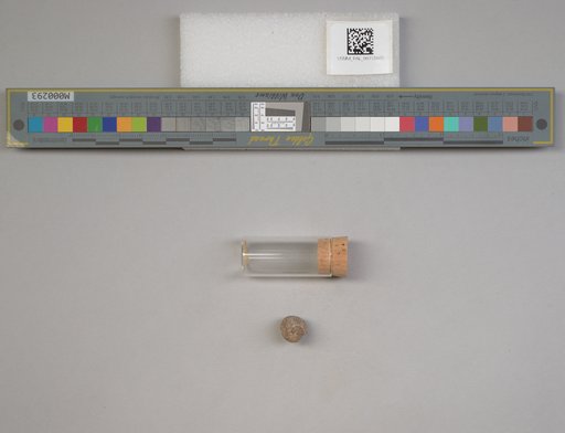 NSF ADBC EPICC TCN