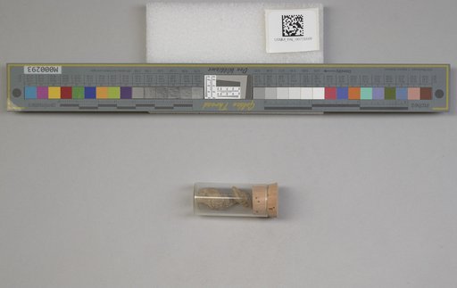 NSF ADBC EPICC TCN