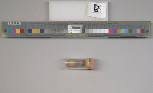 NSF ADBC EPICC TCN