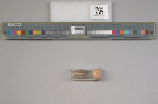 NSF ADBC EPICC TCN